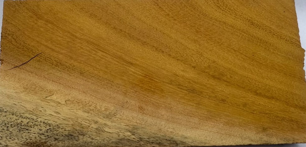 Jackfruit Wood grain texture