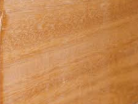 Sal Wood grain texture
