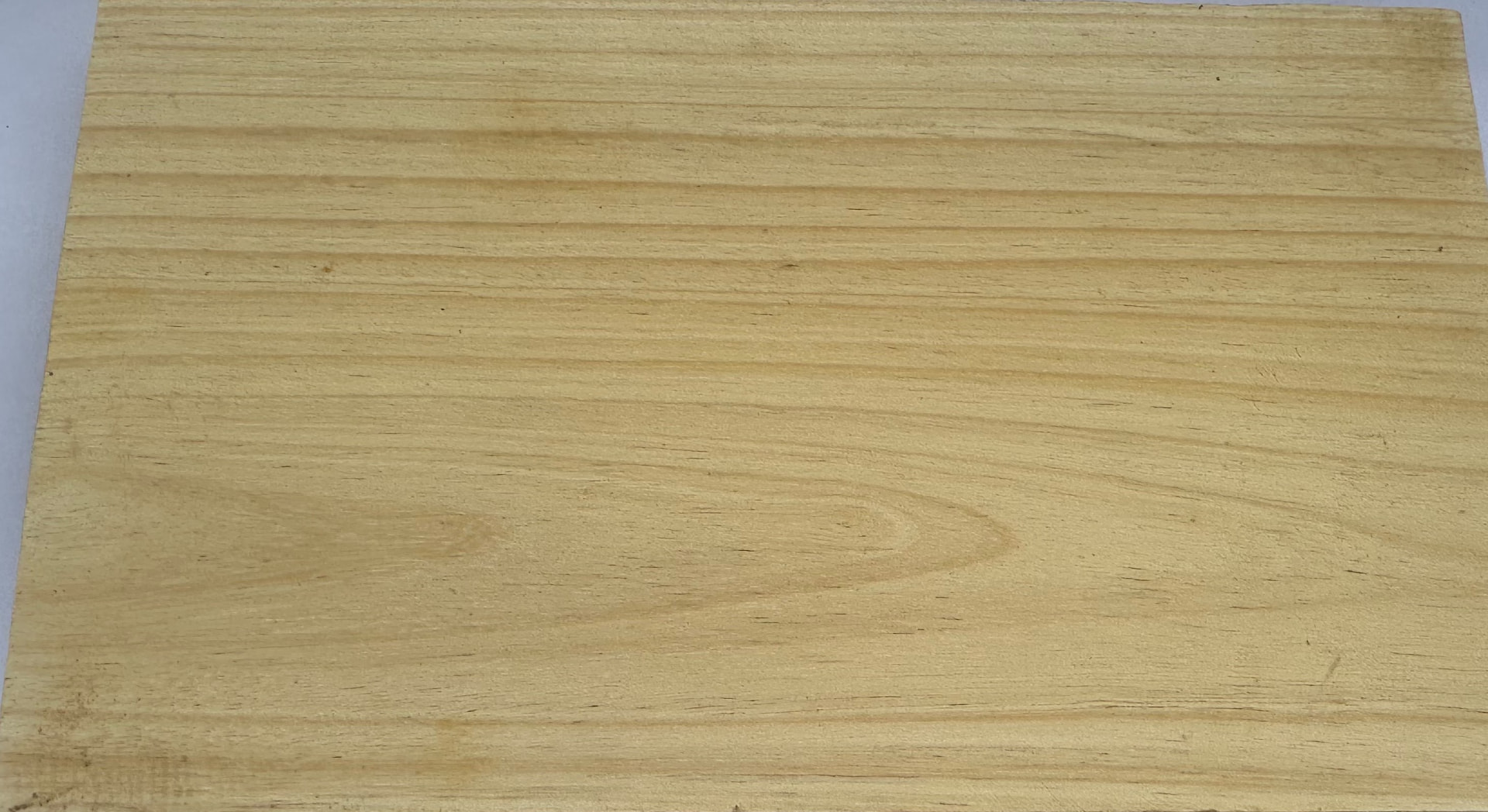 Indian Elm grain texture